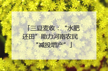 三夏麦收：“水肥还田”助力河南农民“减投增产”