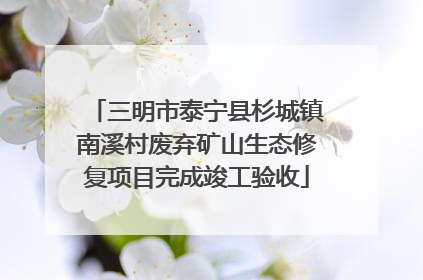 三明市泰宁县杉城镇南溪村废弃矿山生态修复项目完成竣工验收