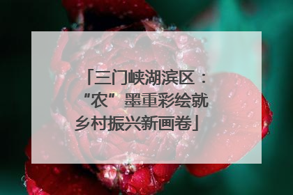 三门峡湖滨区：“农”墨重彩绘就乡村振兴新画卷