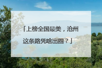 上榜全国最美，沧州这条路凭啥出圈？