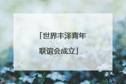 世界丰泽青年联谊会成立
