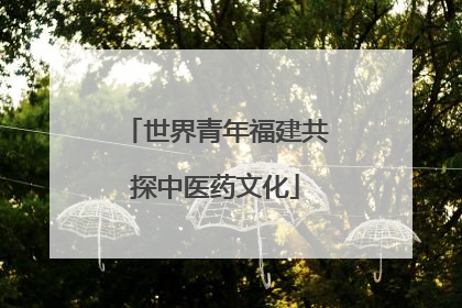 世界青年福建共探中医药文化