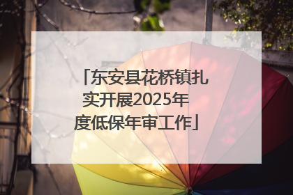 东安县花桥镇扎实开展2025年度低保年审工作
