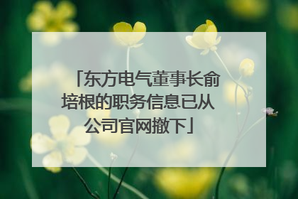 东方电气董事长俞培根的职务信息已从公司官网撤下