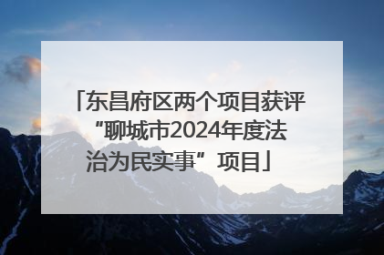 东昌府区两个项目获评“聊城市2024年度法治为民实事”项目