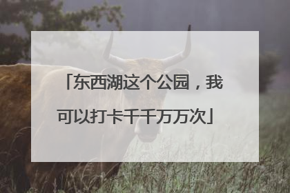 东西湖这个公园，我可以打卡千千万万次