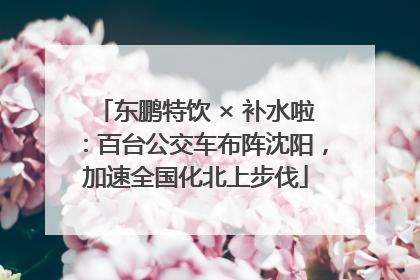 东鹏特饮 × 补水啦：百台公交车布阵沈阳，加速全国化北上步伐