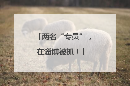 两名“专员”，在淄博被抓！