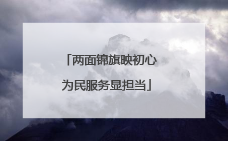 两面锦旗映初心 为民服务显担当