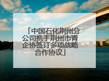 中国石化荆州分公司携手荆州市青企协签订多项战略合作协议