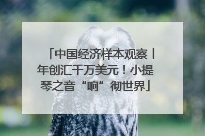 中国经济样本观察丨年创汇千万美元！小提琴之音“响”彻世界