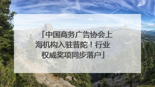 中国商务广告协会上海机构入驻普陀！行业权威奖项同步落户