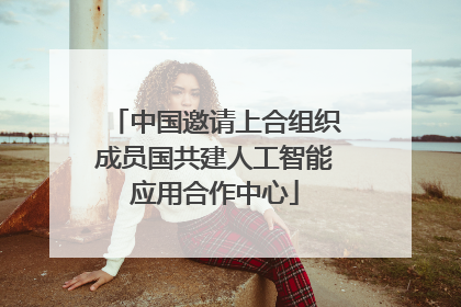 中国邀请上合组织成员国共建人工智能应用合作中心