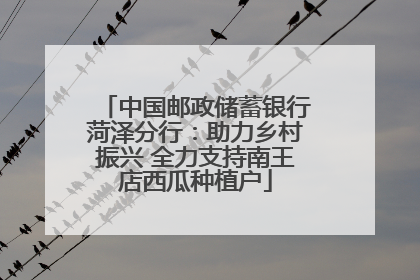 中国邮政储蓄银行菏泽分行：助力乡村振兴 全力支持南王店西瓜种植户