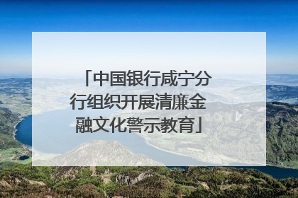 中国银行咸宁分行组织开展清廉金融文化警示教育
