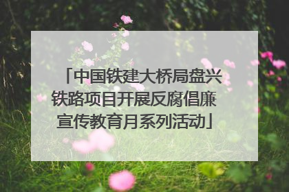 中国铁建大桥局盘兴铁路项目开展反腐倡廉宣传教育月系列活动