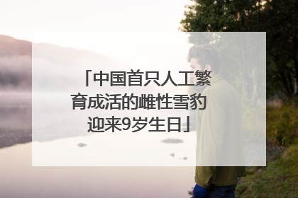 中国首只人工繁育成活的雌性雪豹迎来9岁生日