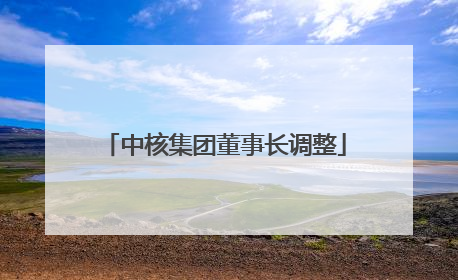 中核集团董事长调整