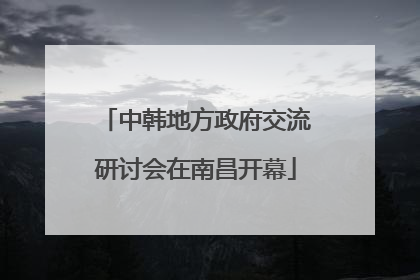 中韩地方政府交流研讨会在南昌开幕