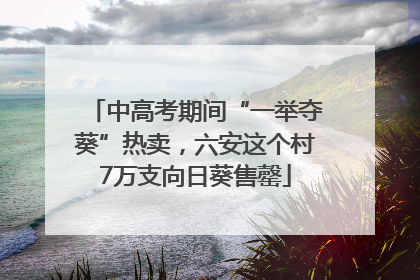中高考期间“一举夺葵”热卖，六安这个村7万支向日葵售罄