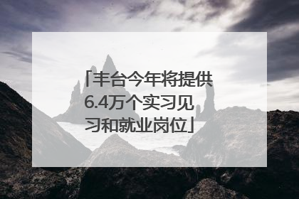丰台今年将提供6.4万个实习见习和就业岗位