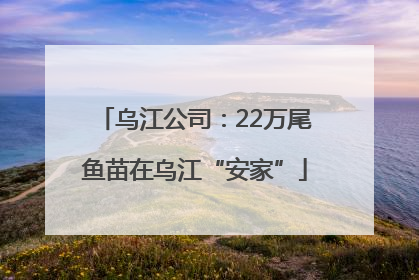 乌江公司：22万尾鱼苗在乌江“安家”