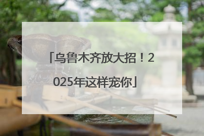 乌鲁木齐放大招！2025年这样宠你