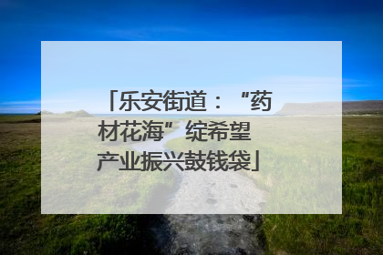 乐安街道：“药材花海”绽希望 产业振兴鼓钱袋