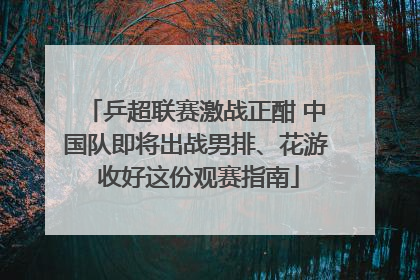 乒超联赛激战正酣 中国队即将出战男排、花游 收好这份观赛指南