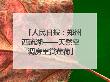 人民日报：郑州西流湖——天然空调房里赏莲荷