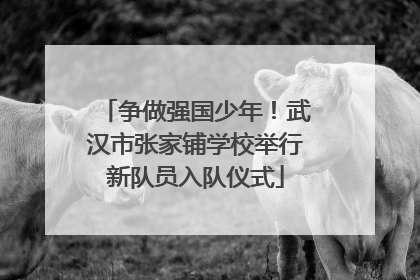 争做强国少年！武汉市张家铺学校举行新队员入队仪式