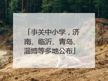 事关中小学，济南、临沂、青岛、淄博等多地公布