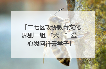 二七区政协教育文化界别一组 “六一”爱心慰问祥云学子
