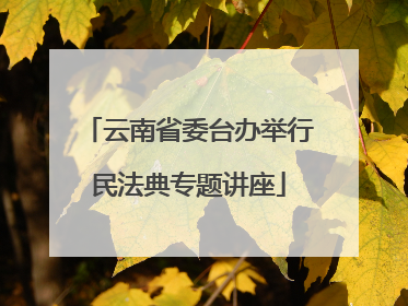 云南省委台办举行民法典专题讲座