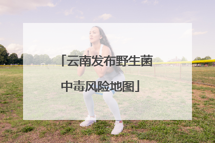 云南发布野生菌中毒风险地图