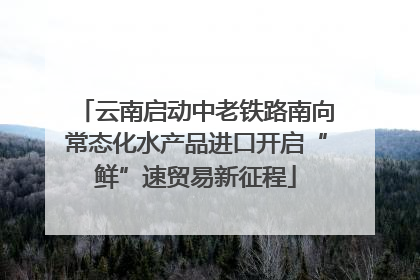 云南启动中老铁路南向常态化水产品进口开启“鲜”速贸易新征程