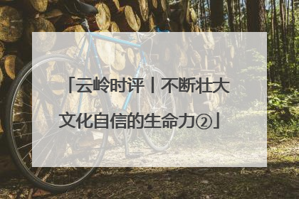 云岭时评丨不断壮大文化自信的生命力②