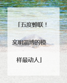 五度蝉联！文明淄博的模样最动人