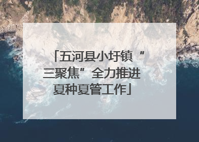五河县小圩镇“三聚焦”全力推进夏种夏管工作
