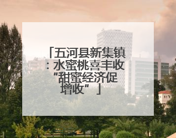 五河县新集镇：水蜜桃喜丰收 “甜蜜经济促增收”