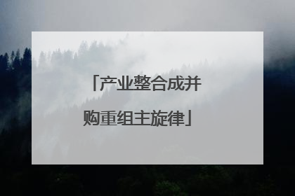 产业整合成并购重组主旋律