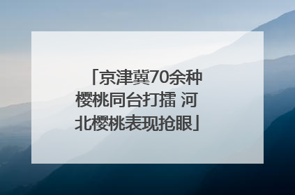 京津冀70余种樱桃同台打擂 河北樱桃表现抢眼