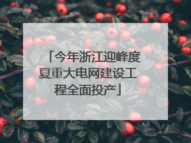 今年浙江迎峰度夏重大电网建设工程全面投产