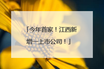 今年首家！江西新增一上市公司！