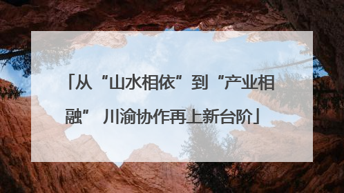 从“山水相依”到“产业相融” 川渝协作再上新台阶