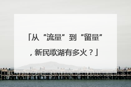 从“流量”到“留量”，新民歌湖有多火？