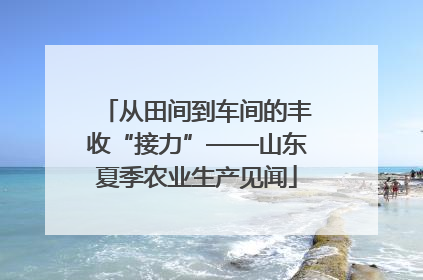从田间到车间的丰收“接力”——山东夏季农业生产见闻