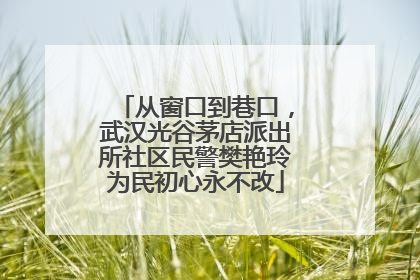 从窗口到巷口，武汉光谷茅店派出所社区民警樊艳玲为民初心永不改