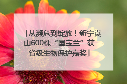 从濒危到绽放！新宁崀山600株“国宝兰”获省级生物保护嘉奖