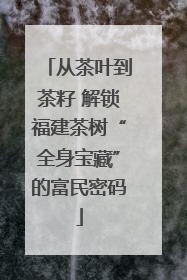 从茶叶到茶籽 解锁福建茶树“全身宝藏”的富民密码